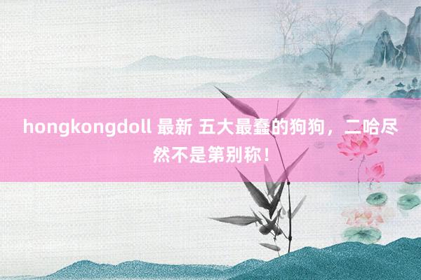hongkongdoll 最新 五大最蠢的狗狗，二哈尽然不是第别称！