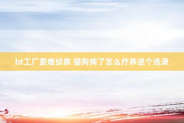 bt工厂爱唯侦察 猫狗病了怎么疗养逐个选录