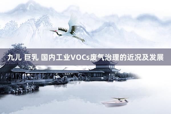九儿 巨乳 国内工业VOCs废气治理的近况及发展