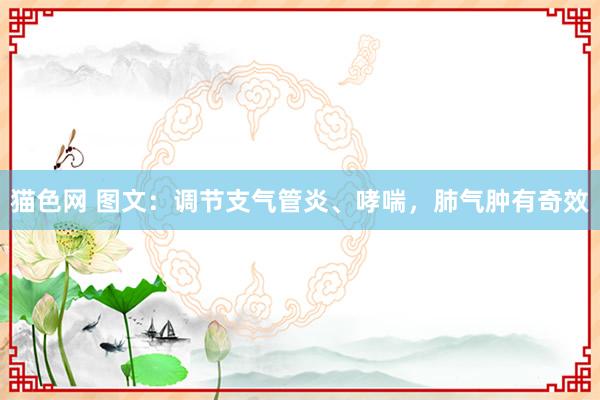 猫色网 图文：调节支气管炎、哮喘，肺气肿有奇效