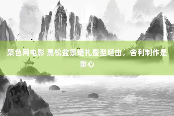 聚色网电影 黑松盆景蟠扎整型经由，舍利制作是重心