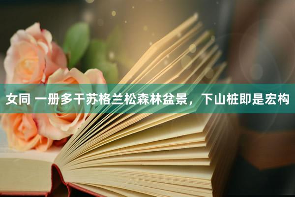 女同 一册多干苏格兰松森林盆景，下山桩即是宏构