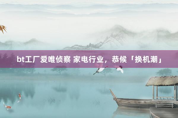 bt工厂爱唯侦察 家电行业，恭候「换机潮」