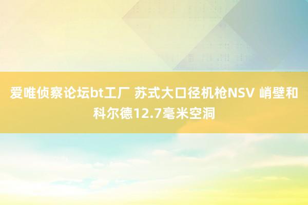 爱唯侦察论坛bt工厂 苏式大口径机枪NSV 峭壁和科尔德12.7毫米空洞