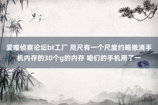 爱唯侦察论坛bt工厂 咫尺有一个尺度约略撤消手机内存的30个g的内存 咱们的手机用了一