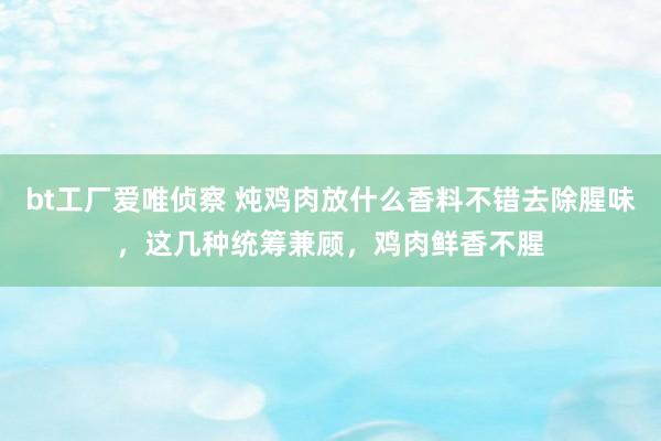 bt工厂爱唯侦察 炖鸡肉放什么香料不错去除腥味，这几种统筹兼顾，鸡肉鲜香不腥