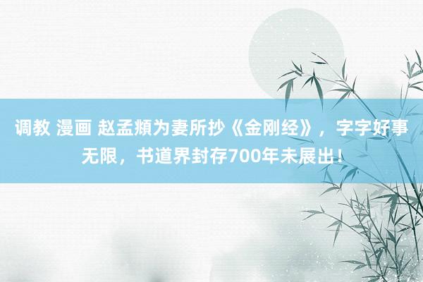 调教 漫画 赵孟頫为妻所抄《金刚经》，字字好事无限，书道界封存700年未展出！